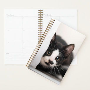 Cutest Baby Animals Black & White Kitten