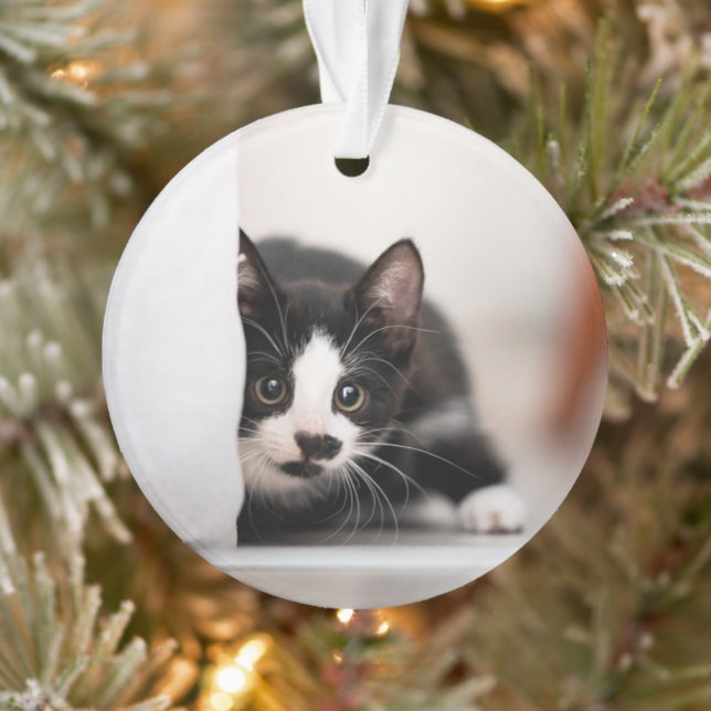 Cutest Baby Animals | Black & White Kitten Ornament (Baum)