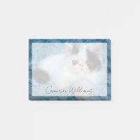 Cutest Baby Animals | Black & White Kitten