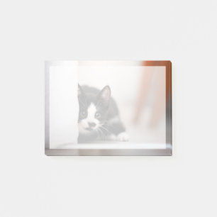 Cutest Baby Animals Black & White Kitten Post-it Klebezettel