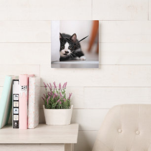 Cutest Baby Animals Black & White Kitten Quadratische Wanduhr