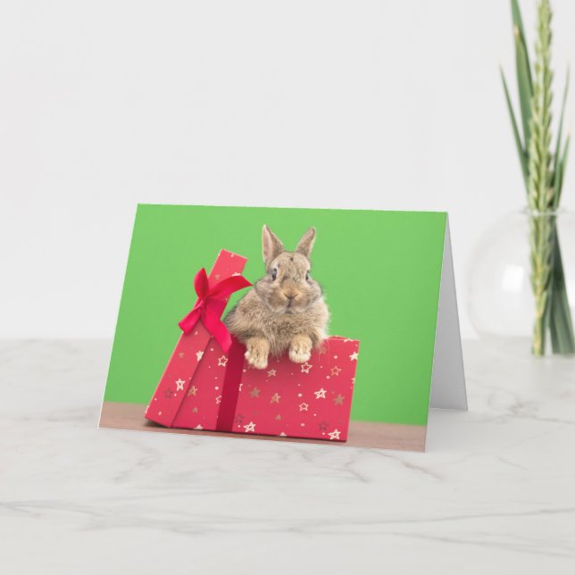 Cutest Baby Animals | Christmas Holiday Bunny Karte (Vorderseite)