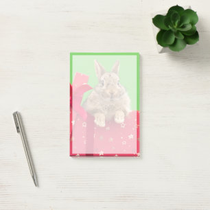 Cutest Baby Animals   Christmas Holiday Bunny Post-it Klebezettel