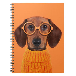 Cutest Baby Animals   Dachshund Orange Sweater Notizblock