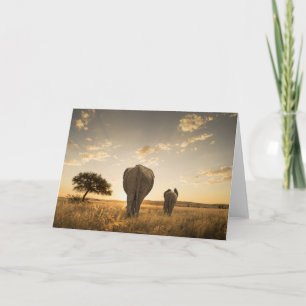 Cutest Baby Animals   Elephant Calf & Mother Karte