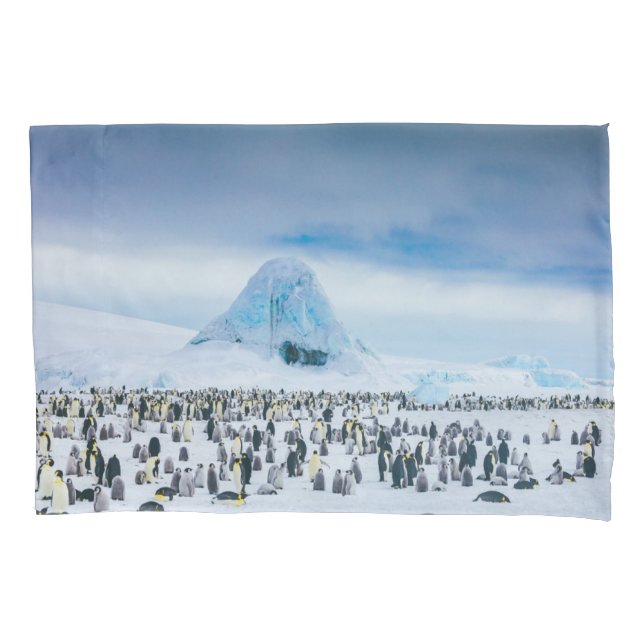 Cutest Baby Animals | Emperor Penguin Colony Kissenbezug (Vorderseite)