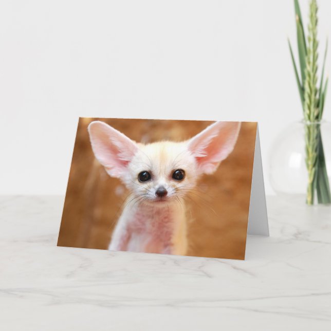 Cutest Baby Animals | Fennec Fox Karte (Vorderseite)