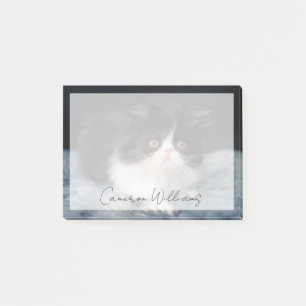 Cutest Baby Animals Fluffy B&W Kitten Post-it Klebezettel