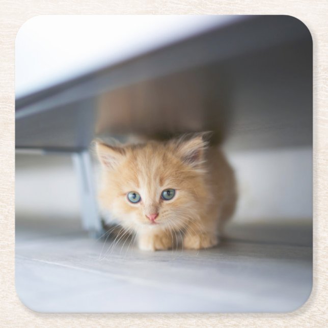 Cutest Baby Animals | Fluffy Orange Kitten Rechteckiger Pappuntersetzer (Vorderseite)