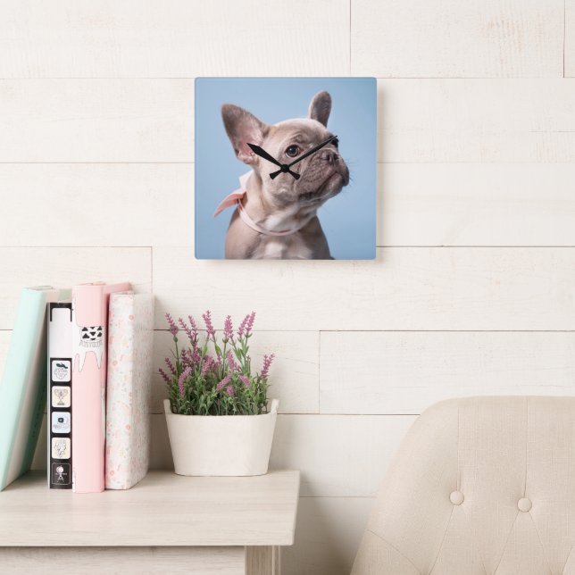 Cutest Baby Animals | French Bulldog Pink Bow Quadratische Wanduhr (Lesesaal)