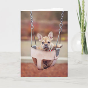 Cutest Baby Animals French Bulldog Playground Karte
