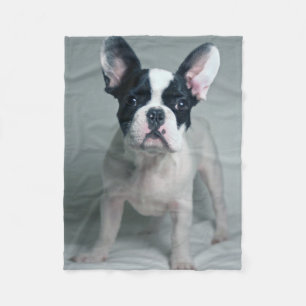 Cutest Baby Animals French Bulldog Puppy Fleecedecke