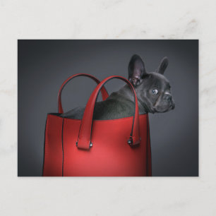 Cutest Baby Animals   French Bulldog Red Hand Bag Postkarte
