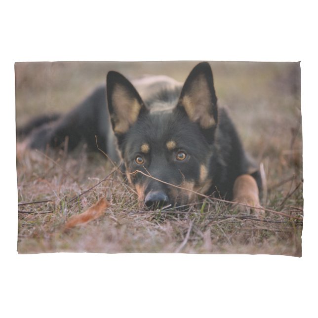 Cutest Baby Animals | German Shepherd Puppy Kissenbezug (Vorderseite)