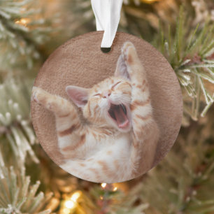 Cutest Baby Animals Ginger Kitten Yawning Ornament