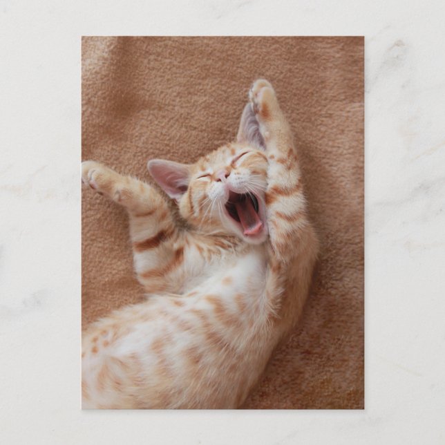 Cutest Baby Animals | Ginger Kitten Yawning Postkarte (Vorderseite)