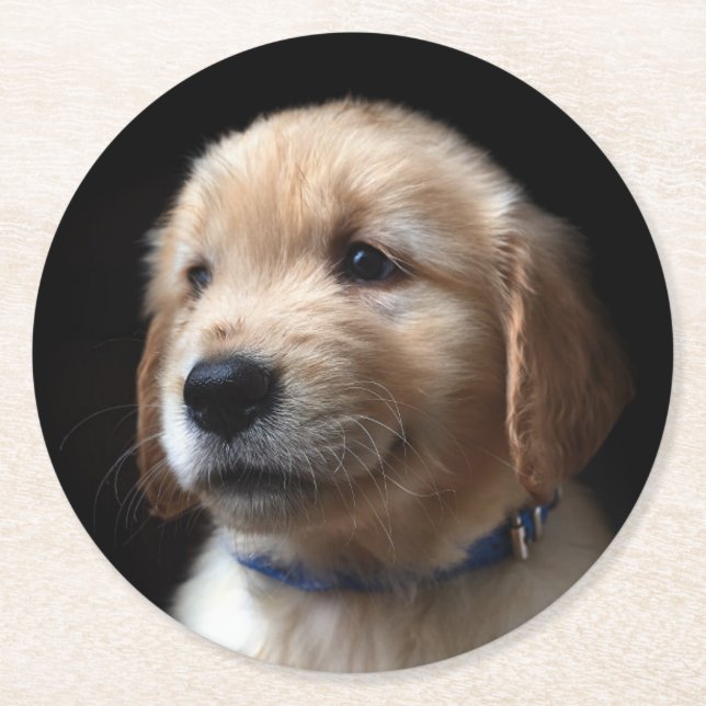 Cutest Baby Animals | Golden Retriever Puppy Runder Pappuntersetzer (Vorderseite)