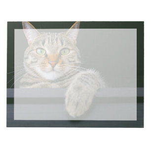 Cutest Baby Animals Gray Tabby Cat Face Notizblock