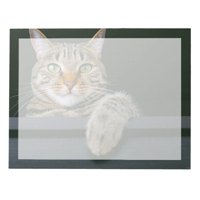 Cutest Baby Animals | Gray Tabby Cat Face Notizblock (Vorderseite)