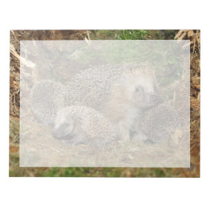 Cutest Baby Animals Hedgehog Family Notizblock