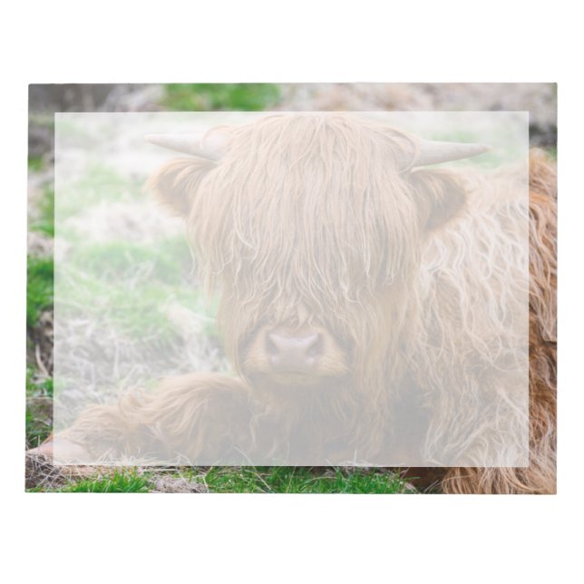 Cutest Baby Animals | Highland Cow Calf Notizblock (Vorderseite)