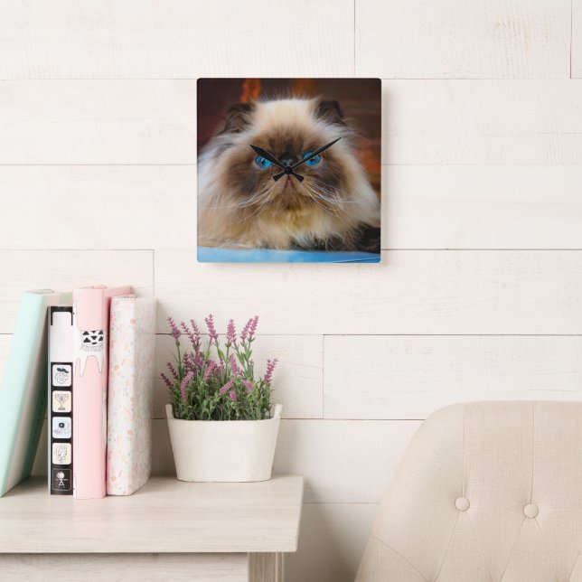 Cutest Baby Animals | Himalayan Cat Quadratische Wanduhr (Lesesaal)