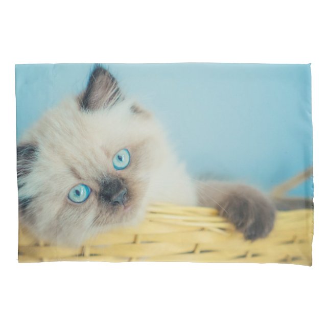 Cutest Baby Animals | Himalayan Seal Point Cat Kissenbezug (Vorderseite)