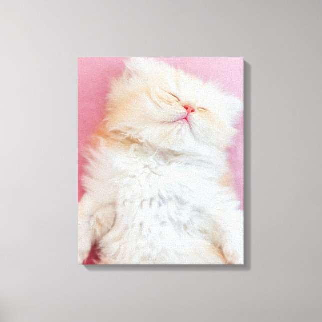 Cutest Baby Animals | Lovely Kitten Sleeping Leinwanddruck (Vorderseite)