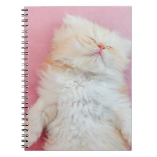 Cutest Baby Animals   Lovely Kitten Sleeping Notizblock