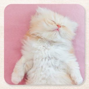 Cutest Baby Animals Lovely Kitten Sleeping Rechteckiger Pappuntersetzer