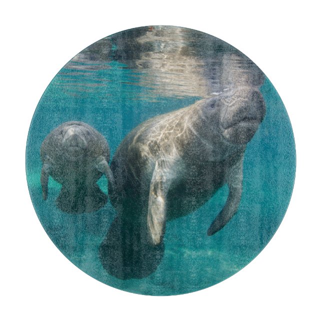 Cutest Baby Animals | Manatee & Baby Schneidebrett (Vorderseite)