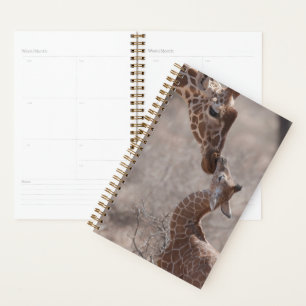 Cutest Baby Animals Mother and Baby Giraffe Planer