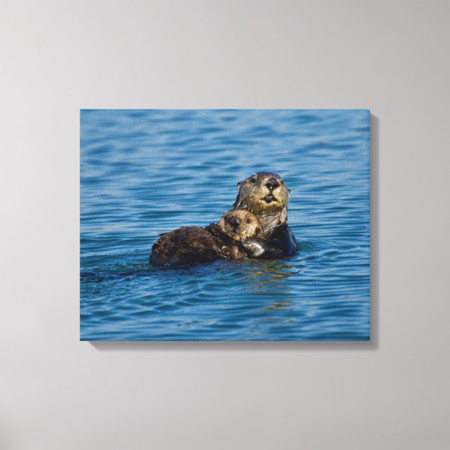 Cutest Baby Animals | Mother & Baby Sea Otter Leinwanddruck (Vorderseite)