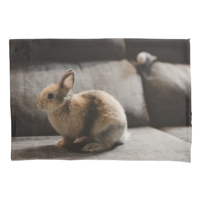 Cutest Baby Animals | Netherland Dwarf Rabbit Kissenbezug (Vorderseite)