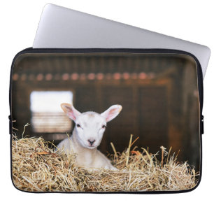 Cutest Baby Animals Newborn Lamb Laptopschutzhülle