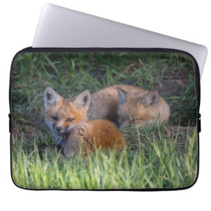 Cutest Baby Animals   Pair of Red Fox Kit Siblings Laptopschutzhülle