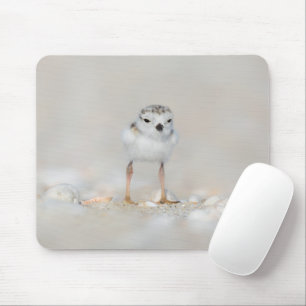 Cutest Baby Animals Piping Plover Chick Mousepad