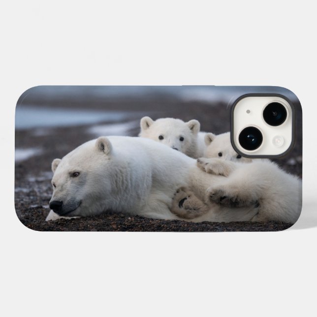 Cutest Baby Animals | Polar Bear Family Alaska Case-Mate iPhone 14 Hülle (Rückseite (Horizontal))