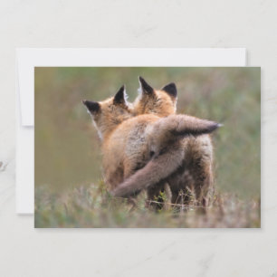 Cutest Baby Animals Red Fox Kits Locking Tails Dankeskarte
