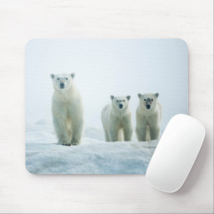 Cutest Baby Animals Three Young Polar Bears Mousepad