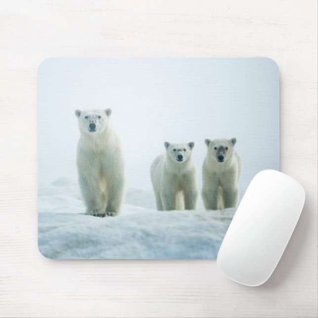 Cutest Baby Animals | Three Young Polar Bears Mousepad (Mit Mouse)