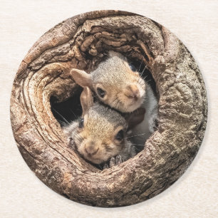 Cutest Baby Animals   Two Young Squirrels Runder Pappuntersetzer