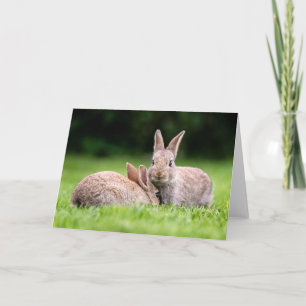 Cutest Baby Animals Wild Bunny Rabbits Karte