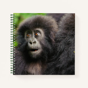 Cutest Baby Animals   Young Mountain Gorilla Notizbuch