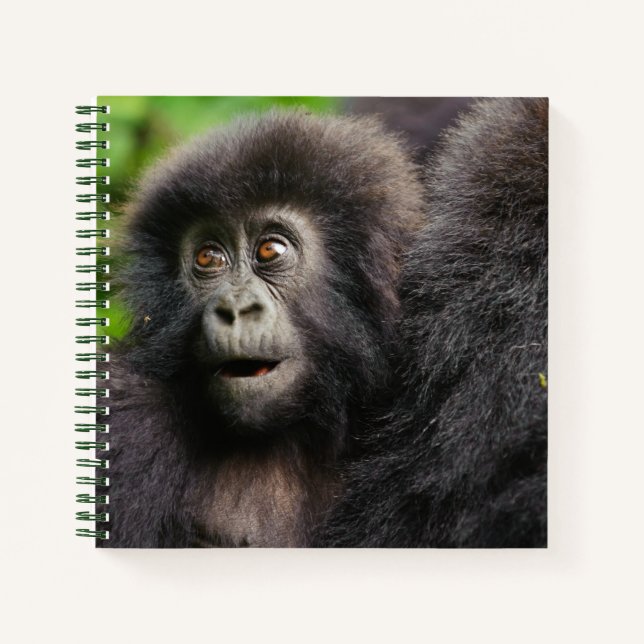 Cutest Baby Animals | Young Mountain Gorilla Notizbuch (Vorderseite)