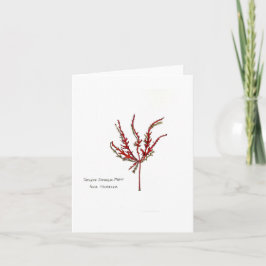 Cutleaf Japanese Maple Leaf Karte
