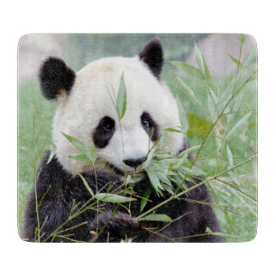 Cutting Board Foto Riesenpanda , Tiere 0147. Schneidebrett