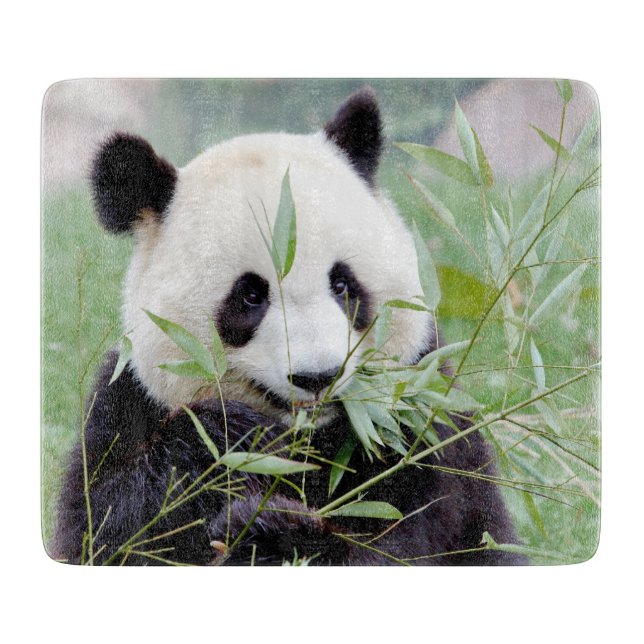 Cutting Board Foto Riesenpanda , Tiere 0147. Schneidebrett (Vorderseite)