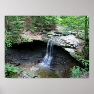CVNP - Blaue Henne 2010 Poster