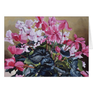 Cyclamen 2004